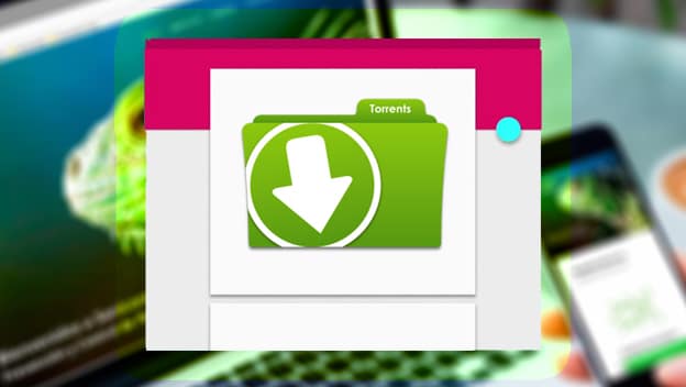 TOP webs descarga torrents